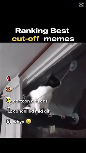 Top 5 Funniest Cut-Off Moments 😂 #shorts