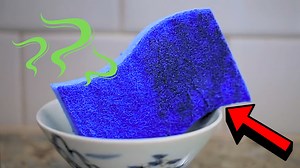How to Sanitize Your Sponge in 2 Minutes or Less
