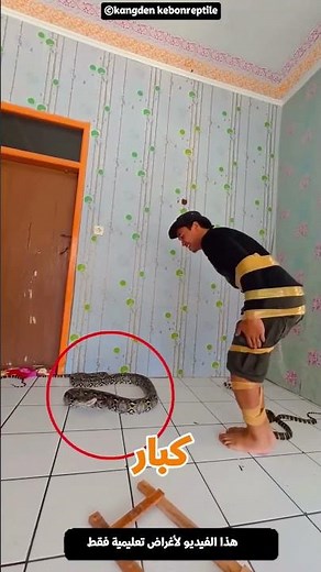 لعبة السلم والثعبان لكن مع ثعابين حقيقية! 🐍