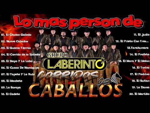 20 Corridos de Caballos de Grupo Laberinto | Puros Corridos Perrones 2026 (LETRA)
