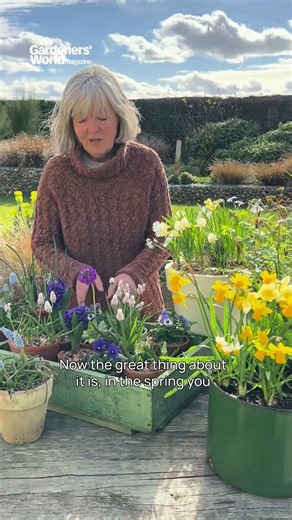 Small autumn task, big spring reward