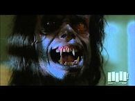 Werewolf transformation - The Howling (1981)
