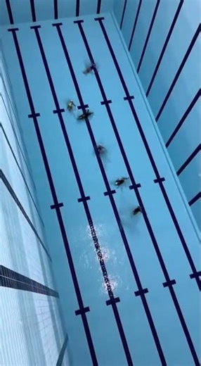 Grandma diving into 76 feet deep empty pool #swimming #pool #diving #foryoupage #fyp