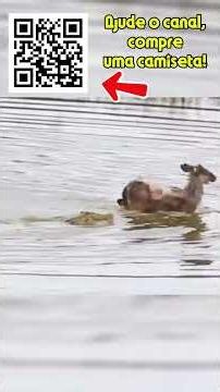The antelope did this to its cub 😱