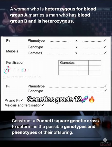Genetics Grade 12: Master the Subject with Amara Study Studio