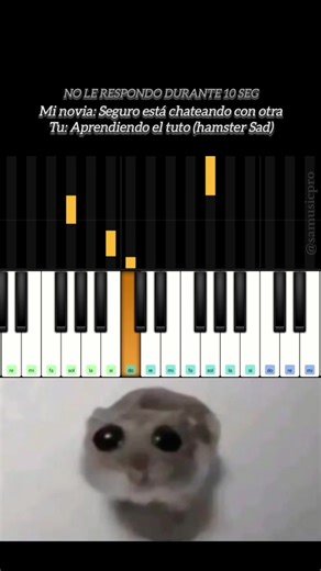 Sad Hamster Meme Piano Tutorial
