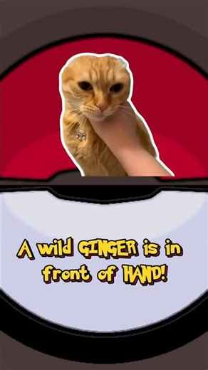 A wild GINGER is in front of HAND! - Pallet Town Rewind