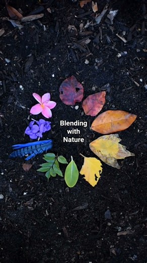 Nature Art Color Wheel DIY in 5 SECONDS! 🍃 #shorts #art #painting #diycrafts