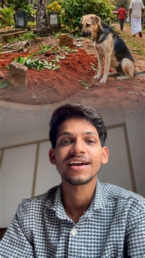 ഖബറിന് കാവൽ ഇരിക്കുന്ന നായ 🥹🤍A bond that death couldn't break.#dog #humanity #shorts
