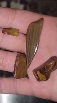 Vibratory Tumbler Reveal: Moss Agate, Stumpy Petrified Wood & Pew-Pew Crazy Lace!