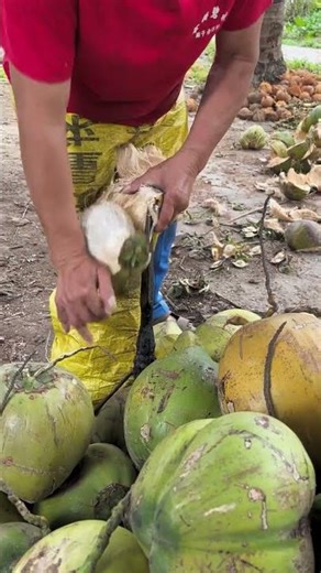 RT 90008430 mini rotary tillage and ridging all#in one 🌲 tree short view #rogator#shorts