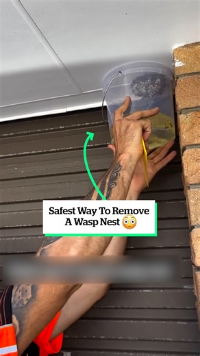 391K views · 726 reactions | This wasp nest removal hack is a game-changer 勞 | VT | Facebook