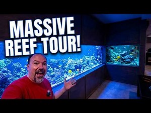 MASSIVE DIY BASEMENT SALTWATER REEF AQUARIUM TOUR!