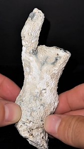 896K views · 258K reactions | You won’t believe what’s inside this coral 視✨ #crystals #rocks #minerals #geology #coral #agate #geode #fossils | CoralGeodes | Facebook