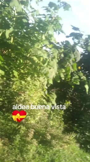 Exploring the Good View Neighborhood's Natural Beauty