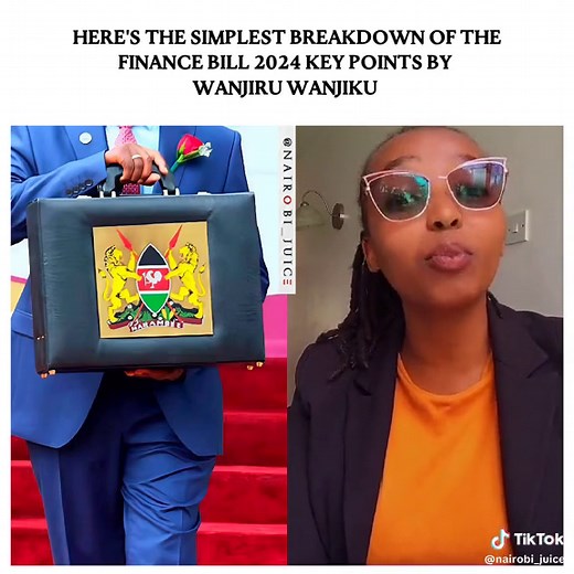 Finance Bill 2024 Key Points Simplified by Wanjiru Wanjiku