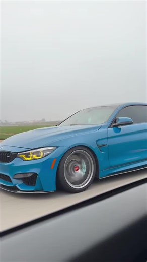 Say hi BUDDY! #carlife #bmwlovers #driving #carpeople