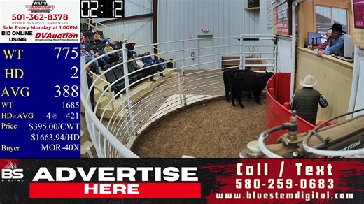 2/2/2026 - Cattle Auction - Wilf's Cleburne County Livestock Auction Contact the barn: (501) 362-8378 Bid online at: dvauction.com Advertising info: www.bluestemdigital.com | Wilf's Cleburne County Livestock Auction