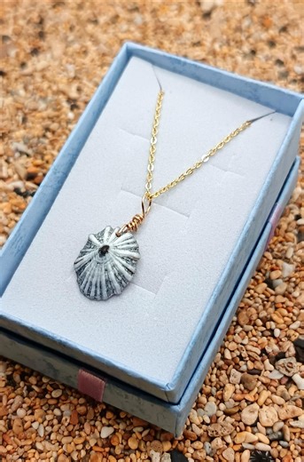 Kauai Opihi 'awa Shell Necklace: 14k Gold Fill Hawaiian Pendant, Valentine's Day Gift - Etsy