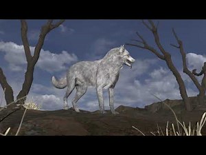 Wolf Animation in Maya