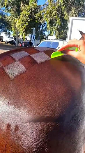 Der letzte Bräutigam vor dem Abschied🥹