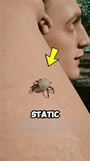 Ticks Don't Jump 😳 🕷️⚡