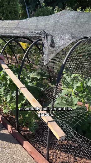 DIY Squirrel Defense System