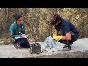 Flamingos in Navi Mumbai: Satellite Tracking, Ecological Monitoring and Conservation Efforts #BNHS