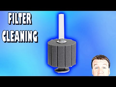How to Clean Aquarium Filters without killing beneficial bacteria