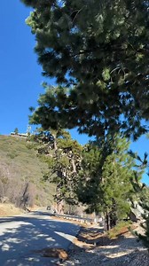 Those wins were nasty today. | David Alan Arnold