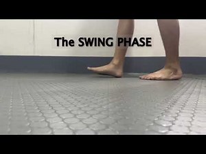 Gait Cycle Swing Phase