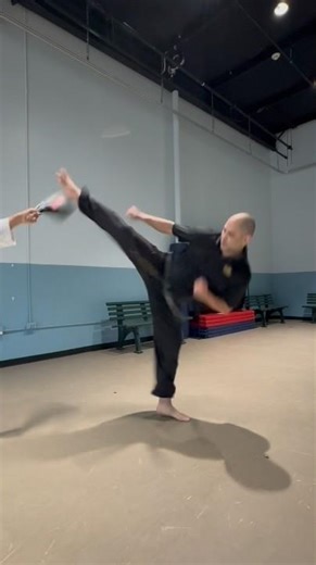 Spinning Hook Kick (Part 4) :: Master Taekwondo Techniques | Step-by-Step
