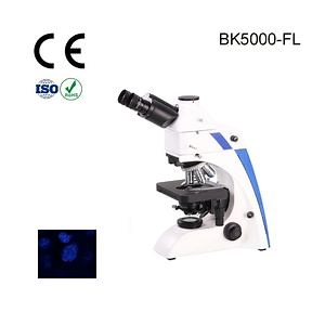 [Hot Item] Cheap Fluorescent Microscope with Large Mechanical Stage