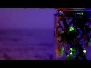 Firefly Magic LED Firefly Lights