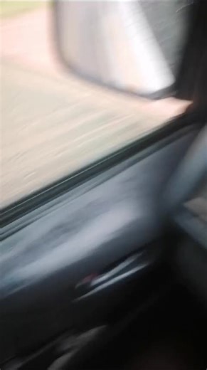 Learn Effective Painting Techniques for Beginners