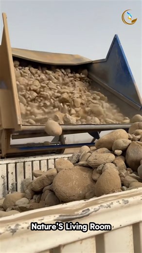 The Rock Filter Machine – Like Instagram Filter, But for Dirt! | Coconut Corporate