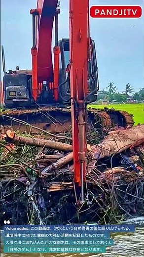 ​【復興の闘い】洪水後の川を救う。巨大な倒木と格闘するユンボの英雄的な姿。#excavator #automobile #cleaning #work