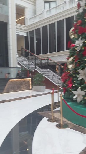 I love a pretty Christmas tree 😍😍 | Sharona Maria Hoenie