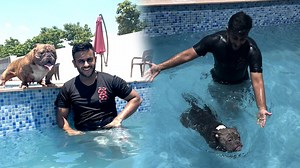 25K views · 1.3K reactions | Our Private Dog Pool Party Dog Swimming Training  | Pulkit VAMP | Facebook