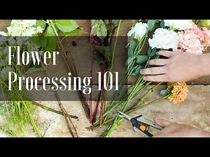 How to Process Fresh Flowers