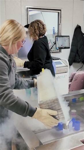 Nebraska Bull Service