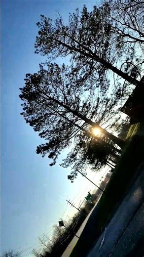 outside I love spring