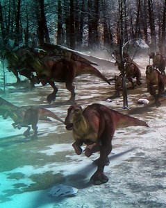 Intrepid paleontologists discover that dinosaurs thrived in the Arctic’s cold and dark. "Alaskan Dinosaurs" premieres on WED JAN 19 at 9/8c on PBS: https://to.pbs.org/3zSsJ07 | NOVA l PBS
