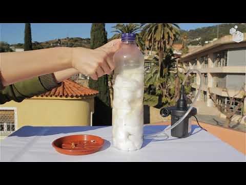 How tobacco smoke can affect and change the cells