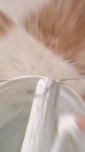 Pro tip: Proper finishing prevents cracks and mold! ✨ Don’t skip the details. #HomeTips #Drywall #PaintingTips #AbuWaelDecor #FYP | دهان وديكورات أبو وائل