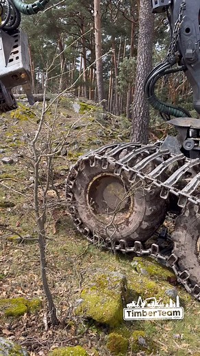 ”Harvester 1270G & H425 Head: Efficiency and Precision in Forestry Processing”🌲🚜 I hope you enjoy the video family @timberteamhdpm #timberteamhdpm #strong #harvester1270g8wd #forwarder1510g #harvesters #harvest #forwarders #forestphotography #forestlovers #forestmachine #forestlife #forestrymachinery #forestal #forest🌲 #forest_captures #forester #forestry #agroforestry #forestales #madera #monte #pino #camiones #bosque #viralpost #viralphoto#johndeere #johndeerepower #johndeereforestry #johnd