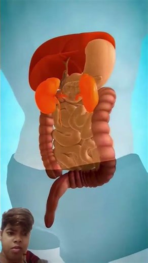 How to works tablet #3danimation #facts #animation #doctor