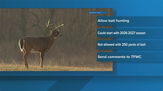 Tennessee considering changes to deer hunting