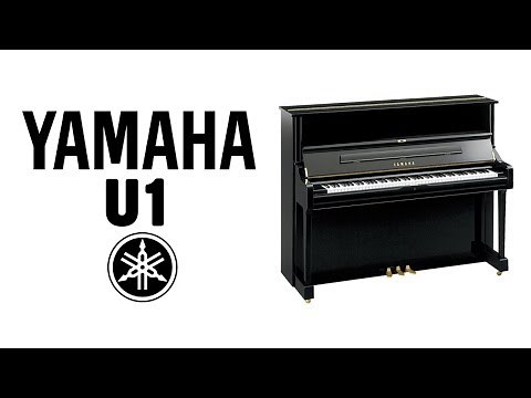Yamaha U1 Demo