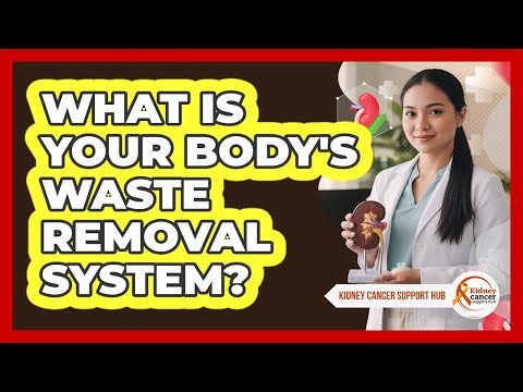 What Is Your Body's Waste Removal System?